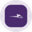 Wolfspeed (Ondo Tokenized) Logo