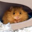 Woolly Mouse Logo