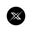 XCoin Logo