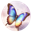 妖蝶 (Yao Die) Logo