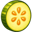 Zucchini Logo