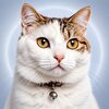 ACAT Logo