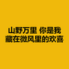 山野万里 你是我藏在微风里的欢喜 (Across vast mountains and fields, you are my hidden joy in the breeze) Logo