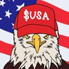 American Coin Logo