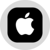 Apple (Ondo Tokenized Stock) Logo