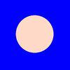 Bald Logo