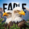 Big Bear Bald Eagle Logo