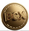 Big Coin Logo