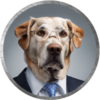 Big Dog Fink Logo