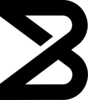 Binary Holdings Logo