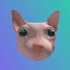 Bingus The Cat Logo