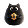 Bitcat Logo