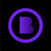 BitcoinZK Logo