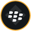 Blackberry (bStocks Tokenized Stock) Logo