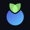Blueberry Logo