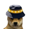 BNB DOGE Logo