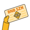 BNB MEME SZN Logo