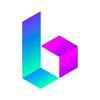 BORA Logo