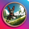 BRIAH Logo