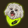 Brodie Logo