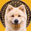 Buddy -First Crypto Dog Price Logo