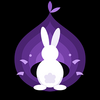 Burrow Logo