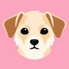 CALI Logo