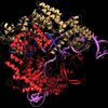 Cas9 Logo