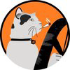Cat Driving Bitcoin Logo