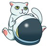 Mooncat CAT Logo