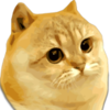 Catge Coin Logo
