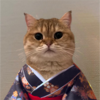 catownkimono Logo