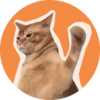 CatSlap Logo