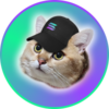 CatSolHat Logo