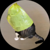 catwifbag Logo
