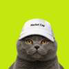 catwifcap Logo