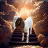 Cedar the Goat Logo