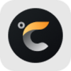 Celsius Holdings rStock Logo