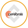 Cerebras (bStocks Tokenized Stock) Logo