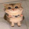 ChatGPT Cat Logo