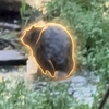 Chonketha the Wet Beaver Logo