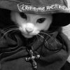 Chrome Cat Logo