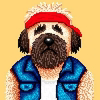 Chuck Logo