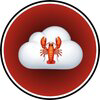 ClawCloudX Logo