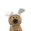 coby Logo