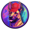 CONAN Logo