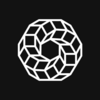 PowerPool Concentrated Voting Power Logo