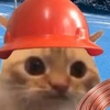 Copper Cat Logo