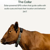 cowgorithm Logo