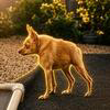 Cricket The Dog Logo